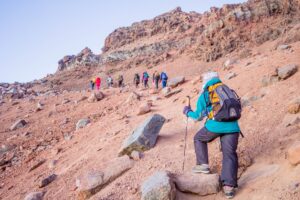 Mount Kenya NaroMoru–NaroMoru Route (4 Days)