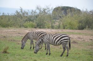 Mount Longonot Day Hike from Nairobi