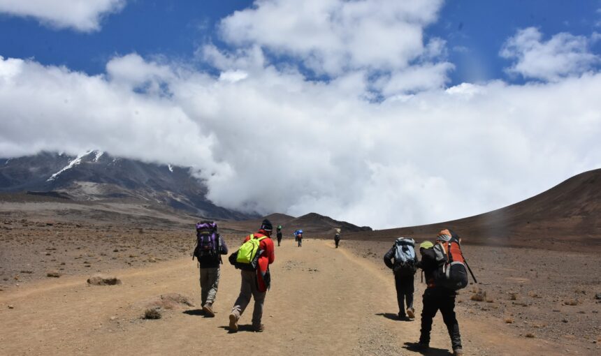 Mount Kilimanjaro Routes and Summit Success Rates