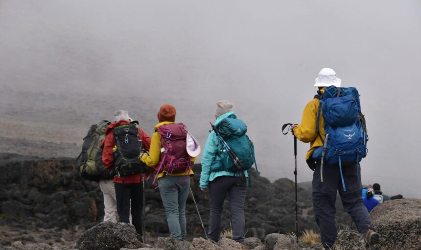 Best Time to Climb Mount Kilimanjaro: Weather, Seasons & Best Routes